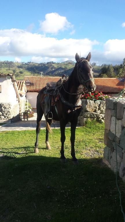 Hosteria La Condesa Honorato Vasquez Bagian luar foto